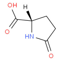 L-Pyroglutamic acid