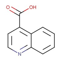 Quinoline-4-carboxylic acid