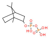 Sodium 2,3-dihydro-2-methyl-6-(methylamino)-1,3-dioxo-1H-benz[de]isoquinoline-5-sulphonate