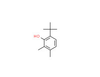 tert-butylxylenol