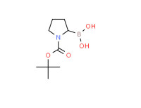1-N-Boc-Pyrrolidin-2-ylboronic acid