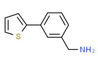 (3-thiophen-2-ylphenyl)methanamine