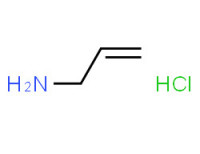 Allylamine hydrochloride