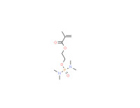 2-[[bis(dimethylamino)phosphinyl]oxy]ethyl methacrylate