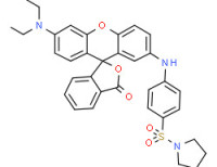 1-[[4-[[6'-(diethylamino)-3-oxospiro[isobenzofuran-1(3H),9'-[9H]xanthen]-2'-yl]amino]phenyl]sulphonyl]pyrrolidine