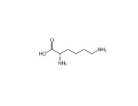 ε-POLYLYSINE