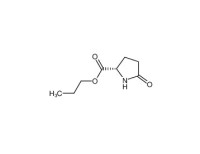 Propyl 5-oxo-L-prolinate