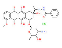 Benzoic acid, [1-[4-[(3-amino-2,3,6-trideoxy-a-l-lyxo-hexopyranosyl)oxy]-1,2,3,4,6,11-hexahydro-2,5,12-trihydroxy-7-methoxy-6,11-dioxo-2-naphthacenyl]ethylidene]hydrazide, monohydrochloride, (2S-cis)-