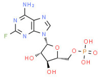 fludarabine phosphate