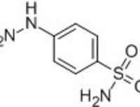 4-Sulfonamide-phenylhydrazine hydrochloride