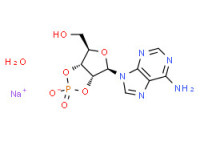 Adenosine sodio-2',3'-phosphate hydrate