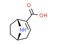 Ecgonidine