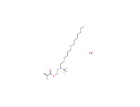 2-[(1,1-dimethylethyl)tetradecylamino]ethyl methacrylate hydrobromide
