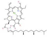 Magnesium, [3,7,11,15-tetramethyl-2-hexadecenyl 9-ethenyl-14-ethyl-13-formyl-21-(methoxycarbonyl)-4,8,18-trimethyl-20-oxo-3-phorbinepropanoato(2-)-N23,N24,N25,N26]-, [SP-4-2-[3S-[3a(2E,7S*,11S*),4ß,21ß]]]-