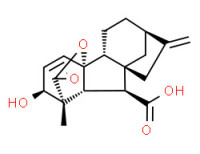 Gibb-3-ene-1,10-dicarboxylic acid, 2,4a-dihydroxy-1-methyl-8-methylene-, 1,4a-lactone, (1a,2ß,4aa,4bß,10ß)-