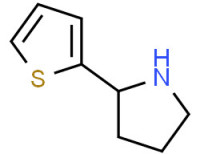 2-(2-Thienyl)pyrrolidine