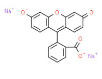 Sodium-fluorescein