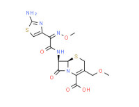cefpodoxime