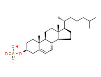 cholesterol sulfate