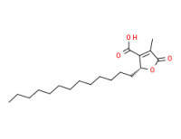 (R)-2-tridecyl-2,5-dihydro-4-methyl-5-oxo-3-furoic acid