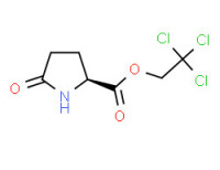 2,2,2-trichloroethyl 5-oxo-L-prolinate