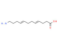 (4E,8E)-12-aminododeca-4,8-dienoic acid