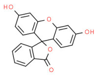 Orange Fluorescent ST Liq. Pour MEG