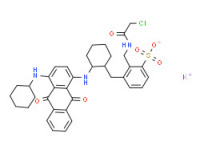 Potassium [[chloroacetamido]methyl][[2-[[4-(cyclohexylamino)-9,10-dihydro-9,10-dioxo-1-anthryl]amino]cyclohexyl]methyl]benzenesulphonate