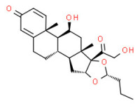 16a(R),17-[butylidenebis(oxy)]-11ß,21-dihydroxypregna-1,4-diene-3,20-dione