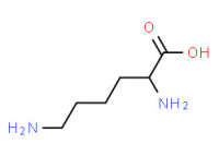 DL-Lysine