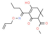 Methyl 5-[1-[(allyloxy)amino]butylidene]-2,2-dimethyl-4,6-dioxocyclohexanecarboxylate