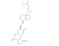 9,10-secoergosta-5(Z),7(E),10(19),22(E)-tetraen-3ß-yl 5-oxo-L-prolinate