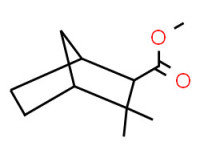Methyl 3,3-dimethylbicyclo[2.2.1]heptane-2-carboxylate