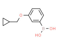 (3-(cyclopropylmethoxy)phenyl)boronic acid