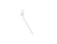 3-amino-N-methyl-4-(octadecyloxy)benzenesulphonamide