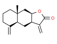 isoalantolactone
