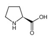 L-Proline