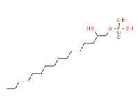 2-hydroxyhexadecyl dihydrogen phosphate