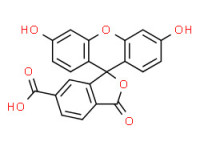6-carboxyfluorescein