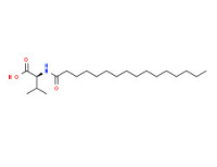 2-(hexadecanoylamino)-3-methylbutanoic acid