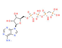 Adenosine 5'-[hydrogen [[hydroxy[[hydroxy(phosphonooxy)phosphinyl]oxy]phosphinyl]methyl]phosphonate]
