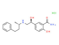 (R*,R*)-(±)-5-[1-hydroxy-2-[(1-methyl-3-phenylpropyl)amino]ethyl]salicylamide monohydrochloride