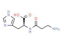 Carnosine