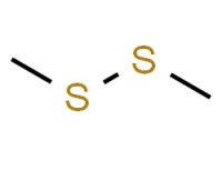 dimethyl disulfide