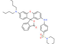 1-[[4-[[6'-(dibutylamino)-3-oxospiro[isobenzofuran-1(3H),9'-[9H]xanthen]-2'-yl]amino]phenyl]sulphonyl]piperidine
