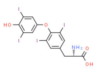 DL-thyroxin