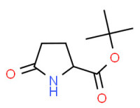 tert-butyl 5-oxo-DL-prolinate