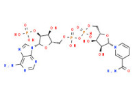 Dihydronicotinamide-adenine dinucleotide phosphate