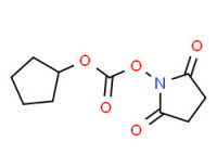 N-(Cyclopentyloxycarbonyloxy)succinimide