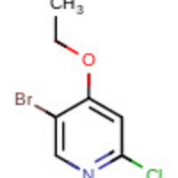 5-bromo-2-chloro-4-ethoxypyridine